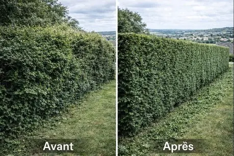 FM Élagage - Entretien de jardin à Barbezieux-Saint-Hilaire