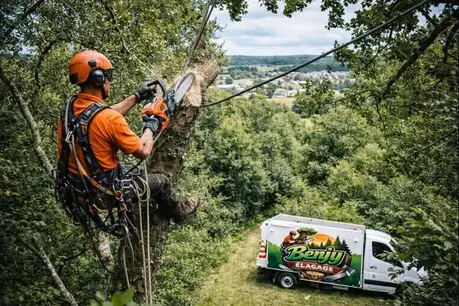 FM Élagage - Entretien de jardin à Barbezieux-Saint-Hilaire